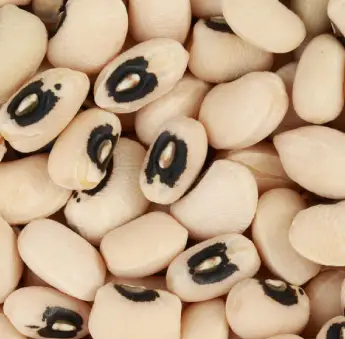 Black Eye Bean