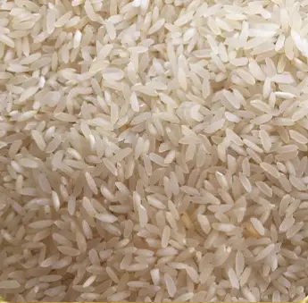 Sona Masoori Rice