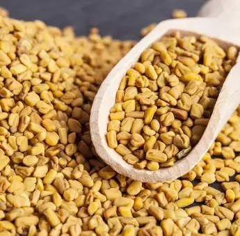 Fenugreek Seeds