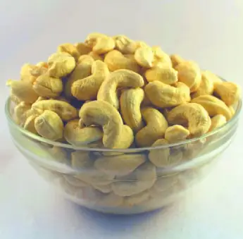 Cashew