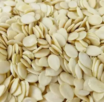 Watermelon Seeds