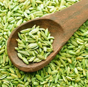 Fennel Seeds