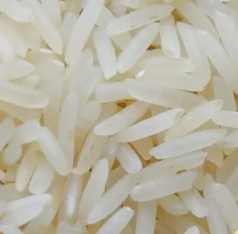 Sharbati Basmati Rice